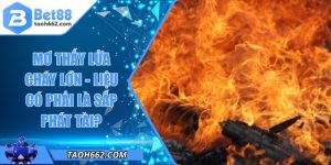 Mơ Thấy Lửa Cháy Lớn - Liệu Có Phải Là Sắp Phát Tài?