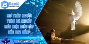 Mơ Thấy Người Thân Đã Khuất Báo Hiệu Điều Gì? Tốt Hay Xấu?