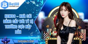 NEW88 – Nhà Cái Đẳng Cấp Với Tỷ Lệ Thưởng Cực Hấp Dẫn