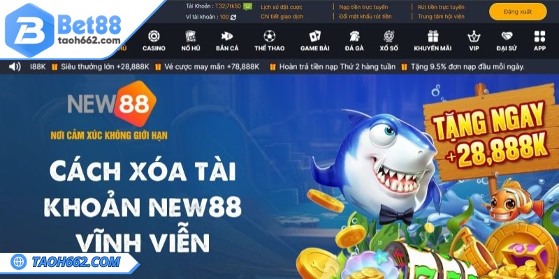 Tổng quan về NEW88
